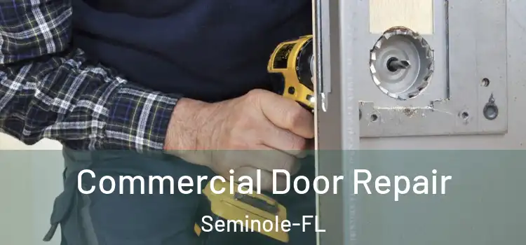  Commercial Door Repair Seminole-FL