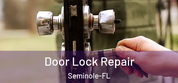  Door Lock Repair Seminole-FL