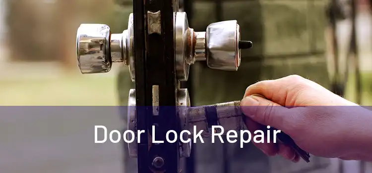 Door Lock Repair