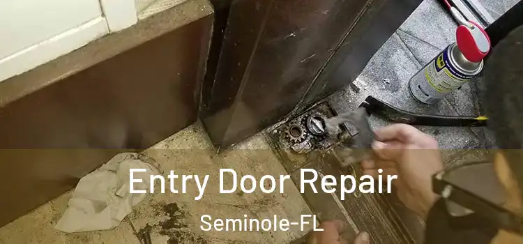  Entry Door Repair Seminole-FL