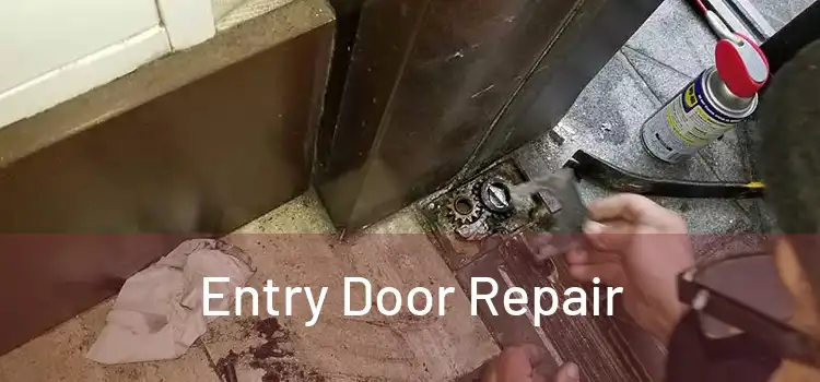Entry Door Repair
