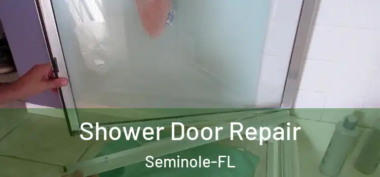 Shower Door Repair Seminole-FL