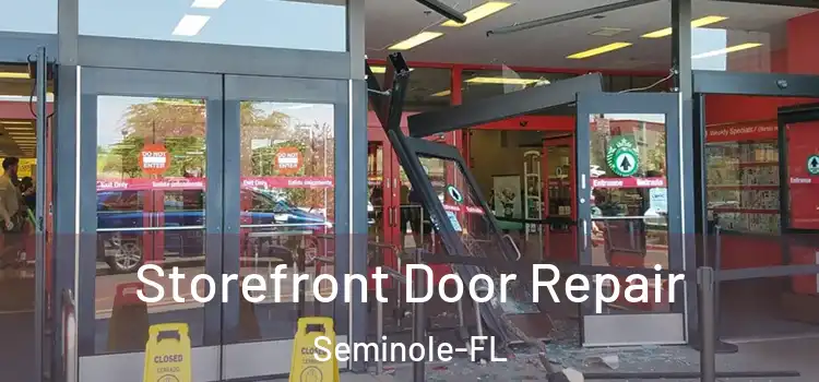  Storefront Door Repair Seminole-FL